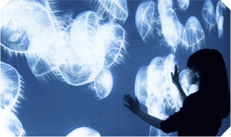 installation img 3
